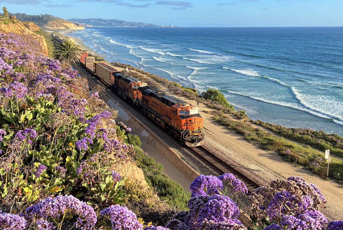 🌷 BNSF Spring Photo Contest! 🌷 Spring is in the air, and you know what that means… The BNSF Spring Photo Contest is back! Show us your BNSF Railway pictures in all their blooming glory. Make sure to submit your best BNSF train photos capturing the season's beauty by posting