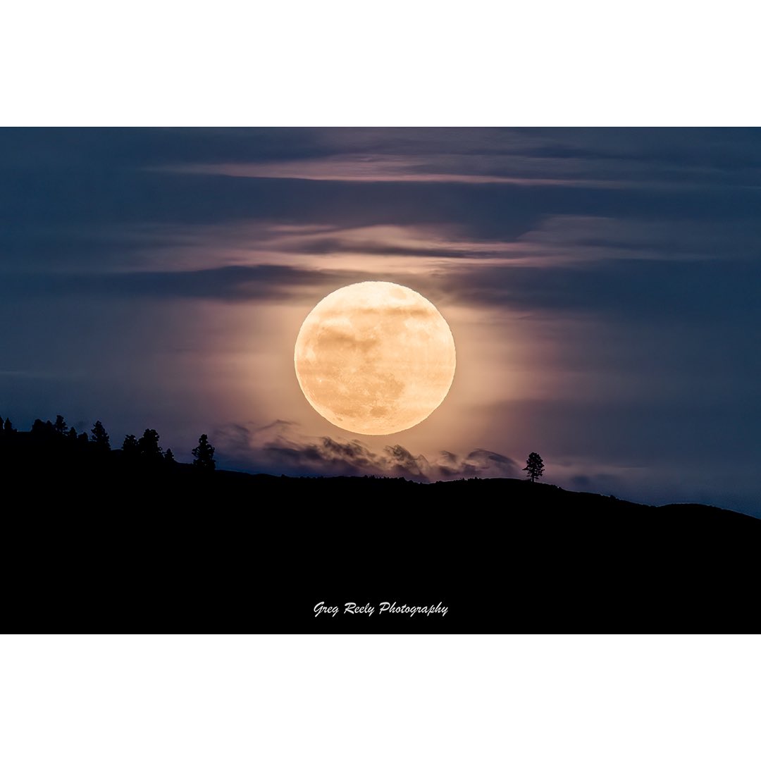 Full PINK Moon April 23 over Osoyoos, B.C.  These are all single images I took from 8:40pm to 9:03pm, when a jet circles around leaving that trail.   No AI ! 😀
#spring #landscape #fullmoon #pinkmoon