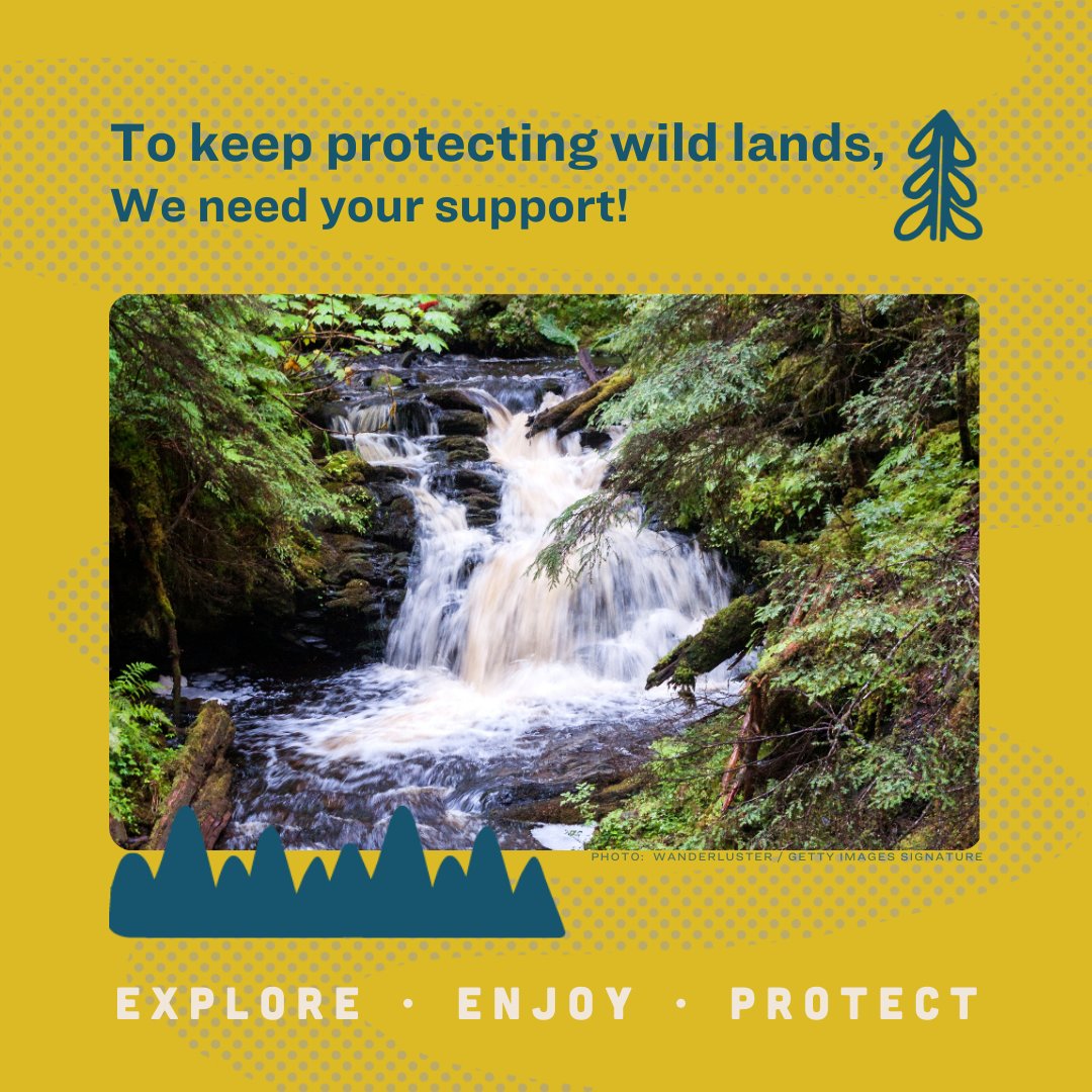 🌲 Our work protecting priceless forests in Tongass National Forest is a privilege and only possible to do, and keep doing, with your support! ❤️ Donate and get a limited edition sticker! -> giving.sierraclub.org/page/FUNKEQBYL…