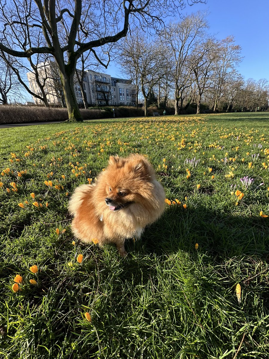 Obligatory Coco post 🥹