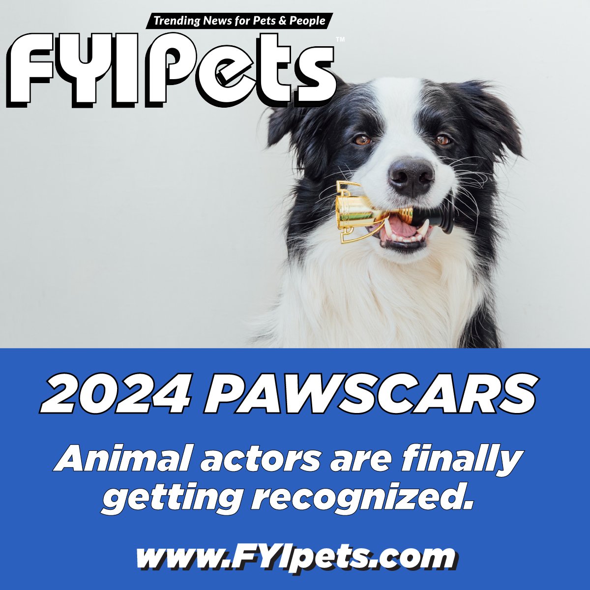 FYIpets.com 

#fyipets #celebritypets #famousanimals #animalmovies #Pawscars #pawscars2024 #academyawards #Oscars #movies #television #awards #dogtrainer #animaltrainer #animalwrangler
#StraysMovie #homewardboundmovie #TheCreatorMovie #Meg2 #bestdoginaleadingrole