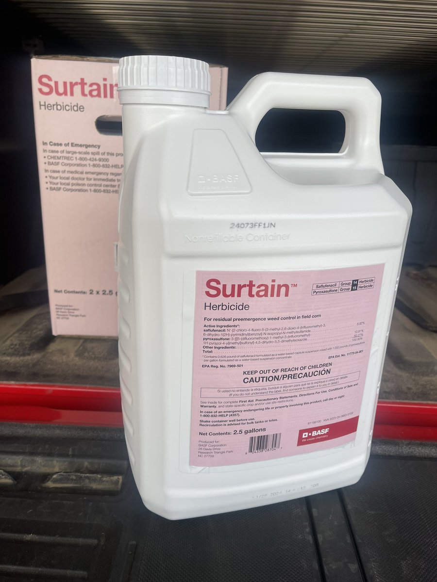 Jessica Dorsey tweet media