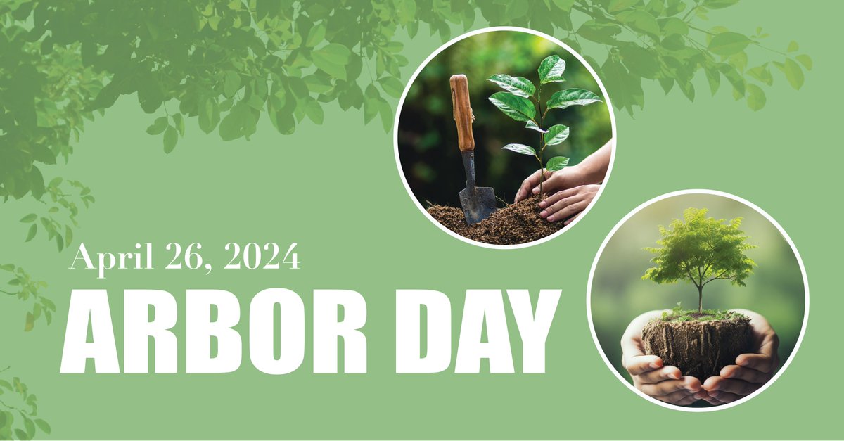 It's #ArborDay! Planting trees creates a green space, which helps to absorb rainwater, improve air quality, and reduce urban heat islands. This contributes to climate resiliency, particularly in marginalized and disadvantaged communities. Read more here: efc.sog.unc.edu/resilient-root…