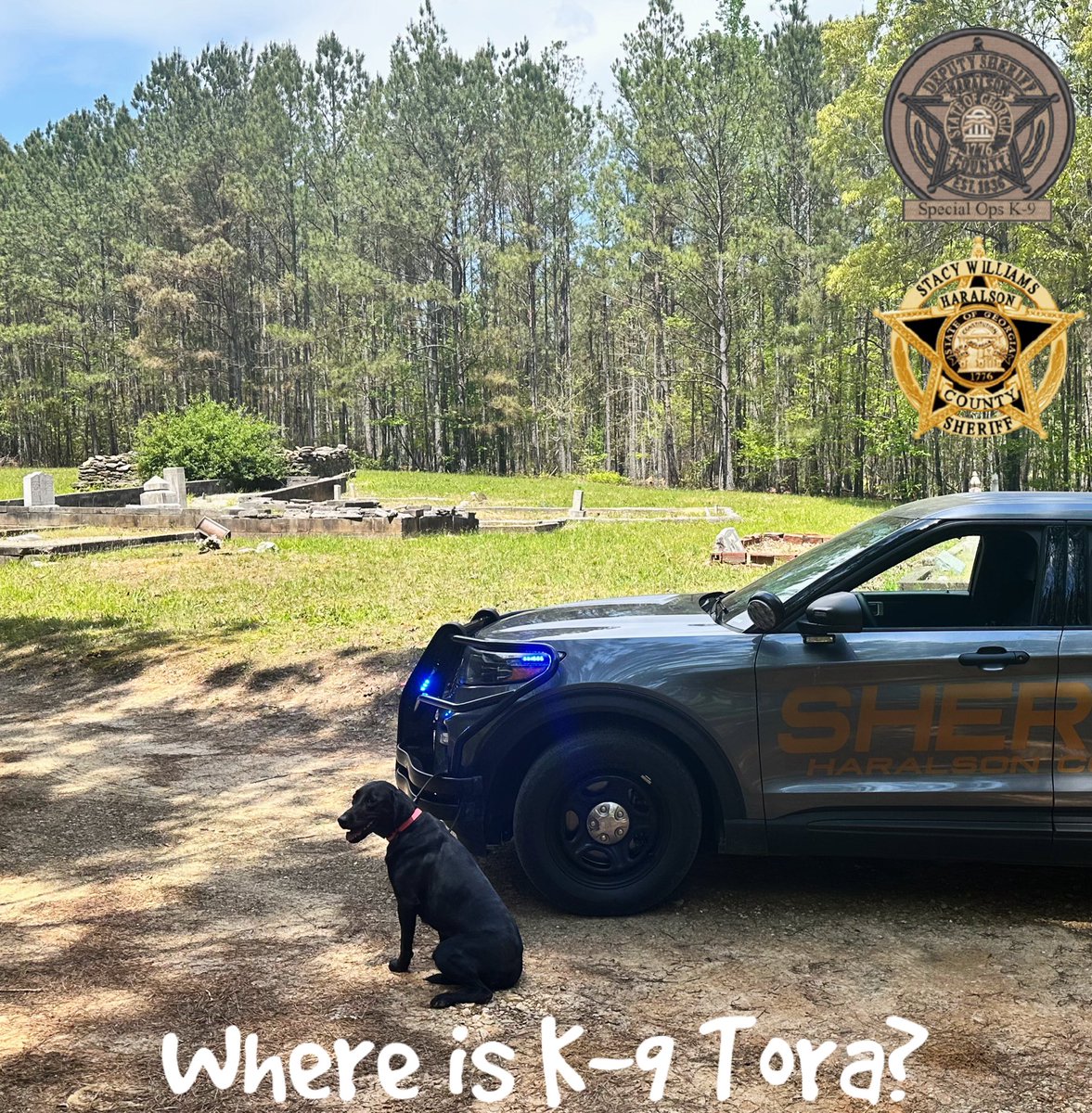 It’s time for Where is K-9 Tora Wednesday!! We think Sgt. Kirkland found the perfect location this week. So y’all, where is K-9 Tora? *Correct answers will be out in a drawing for a K-9 Tora trading card. #WhereIsK9Tora #CommunityEngagement #K9Tora🐾💙 #CSUK9 #HCSO