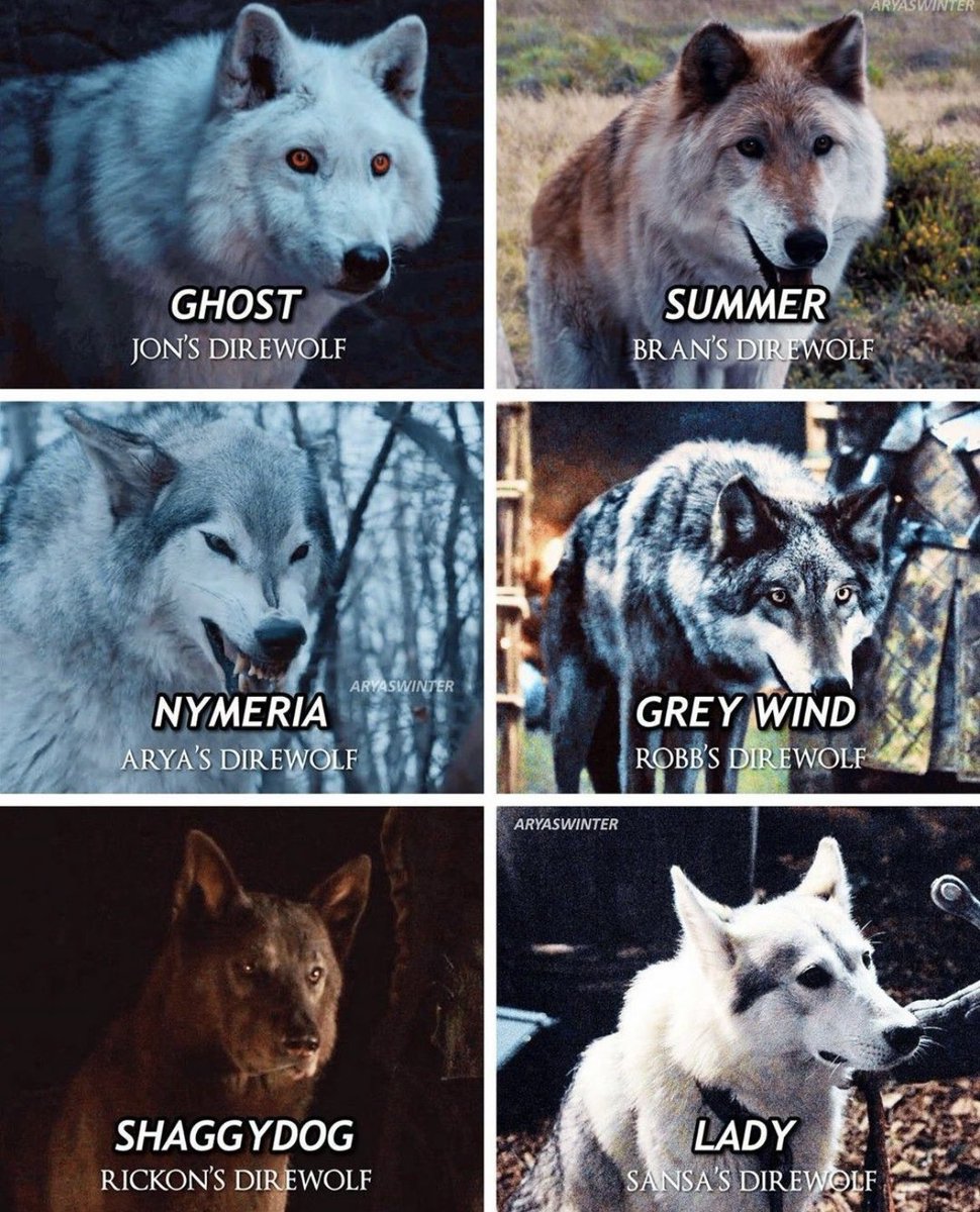 Who was your favorite Direwolf?