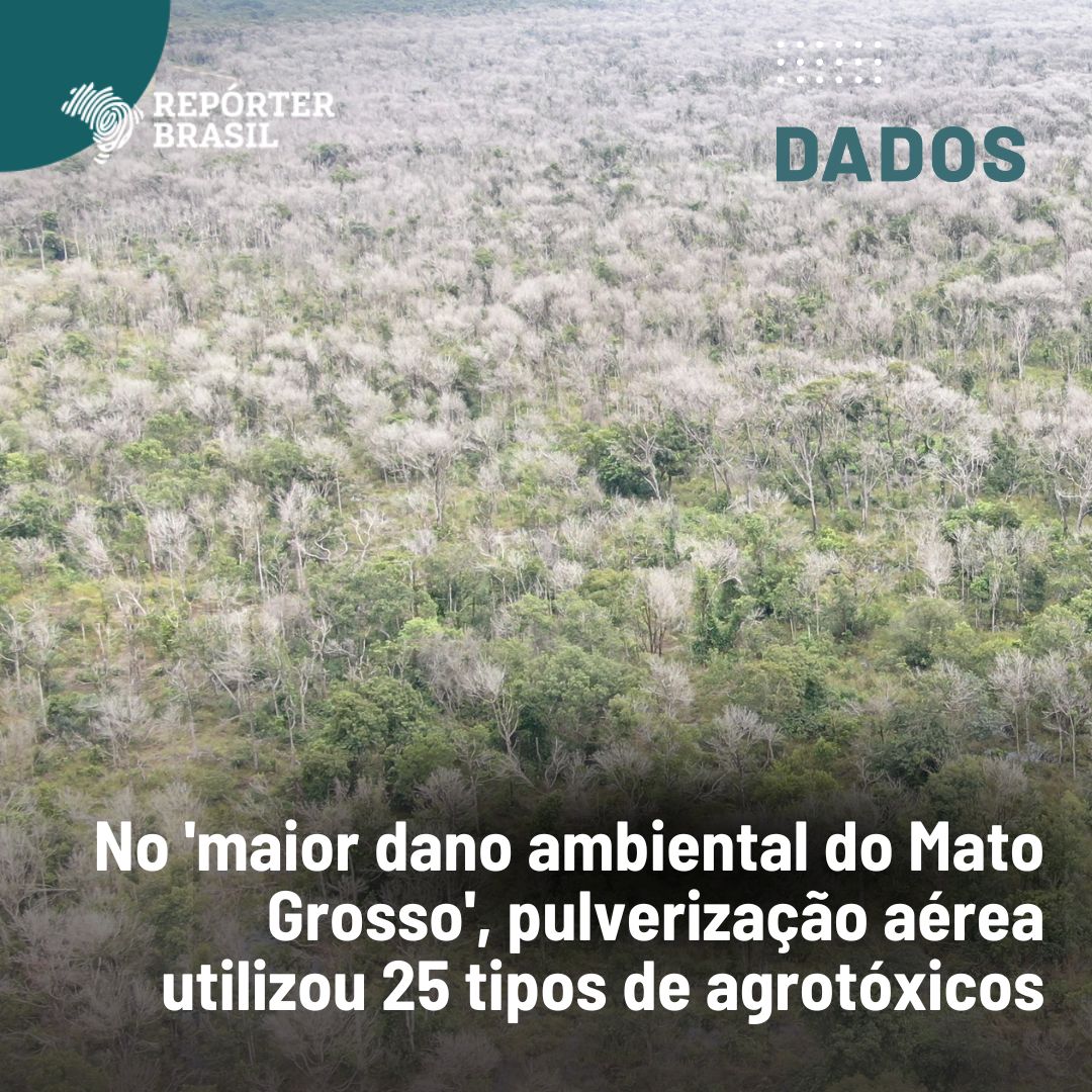 A destruição de 81 mil hectares, área equivalente a cerca de 116 mil campos de futebol, é considerada por autoridades estaduais como o maior dano ambiental já registrado no Mato Grosso. Para este resultado, foram utilizados 25 tipos de agrotóxicos. Segue o fio🧶 #DadosRB