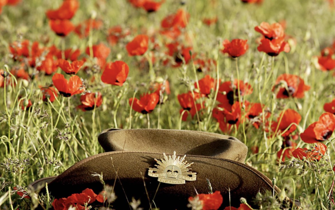 The world is now sitting up and paying attention to Australian politicians’ overt attack on our fundamental right to freedom of speech. 

On this ANZAC Day, I ask one question: 

“What would those who sacrificed their lives for Australia think about the country we have become?”