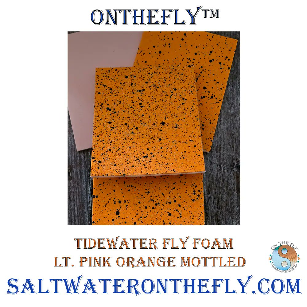 Saltwater on the Fly tweet media