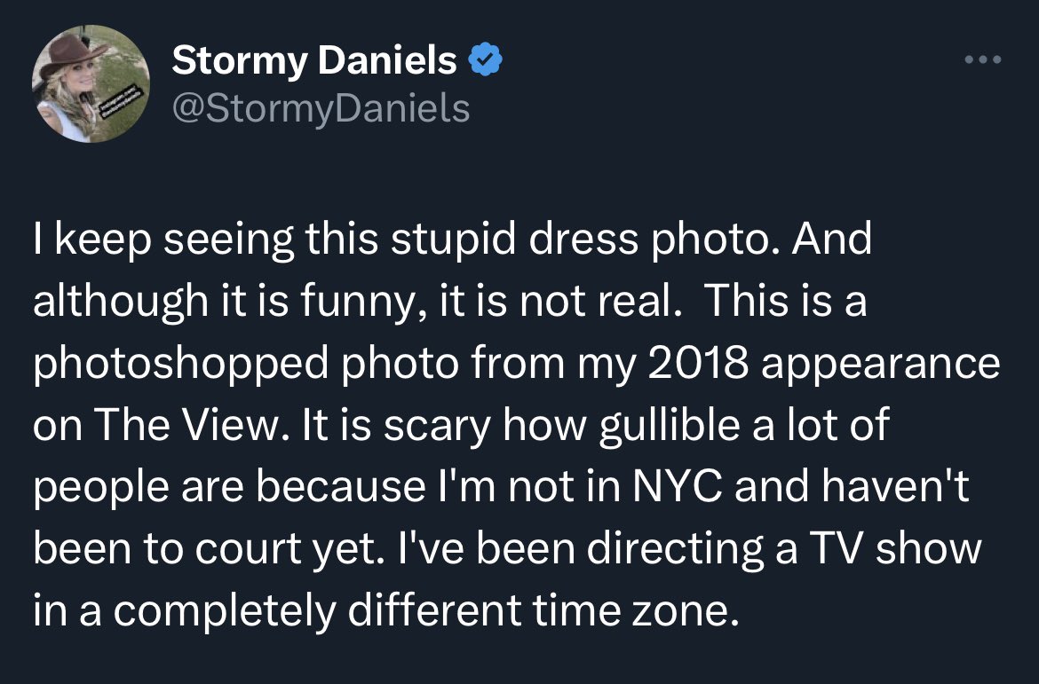 RonFilipkowski's tweet photo. Stormy dispels rumors that she wore a dress with small-stemmed mushrooms on it for her testimony against Trump. https://t.co/gTmaLBN0Sc