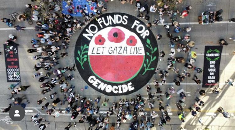 Hannah Krieg tweet media