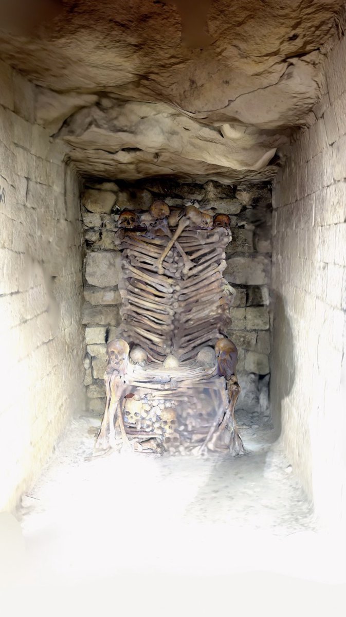 Lucinda Grange tweet media