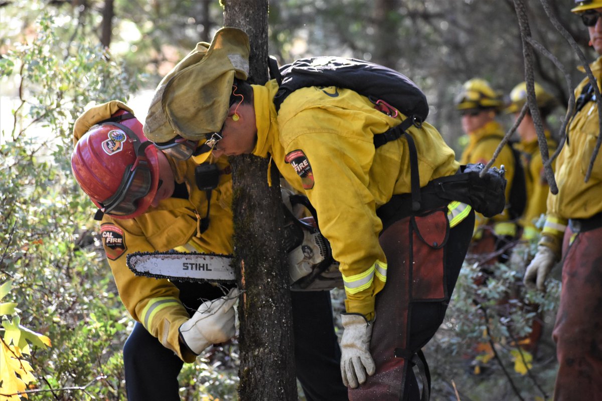 #DYK Your Cal Guard’s Joint Task Force Rattlesnake has the only wildland firefighting hand crews in the @deptofdefense? 🧯🔥 Hand crews across #California are undergoing readiness drills to maintain their Type 1 Hand Crew status, gearing up for the wildfire season ahead!…