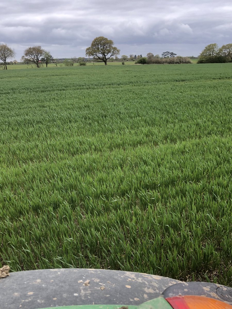 blacker_david's tweet photo. Light land to the left, heavy to the right. Here I am! Stuck in the middle with you. 
#samefield #lotslikeit #nowtdrilledyet #ffs https://t.co/iqbM7c5Hz9