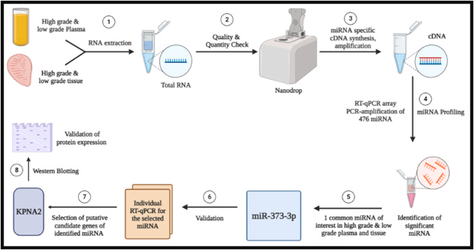 Congratulation #KiraboLab Dr. Mabood Khan for your 1st author paper 'Integrated grade-wise profiling analysis reveals potential plasma miR-...' Thanks very much for including me on this fantastic work! sciencedirect.com/science/articl…