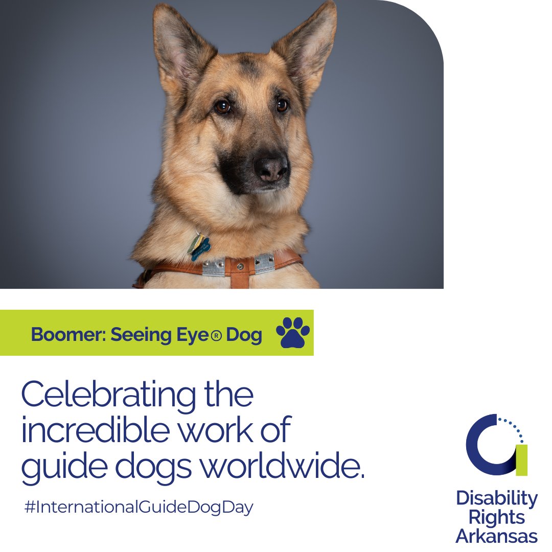 Happy #InternationalGuideDogDay! We want to give a special shoutout to Boomer, the Seeing-Eye Dog for Mollie, an advocate here at DRA. He is a proud graduate of The Seeing Eye in Morristown, New Jersey.

 Visit our blog: buff.ly/3NfwzZV

#DisabilityRightsAR #GuideDog