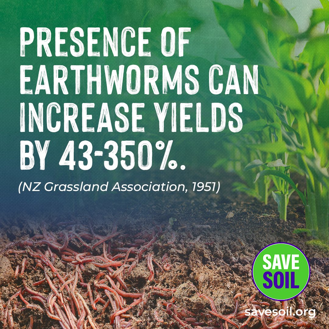 Greetings @NuffieldFarming, as you might know Soil is dying rapidly endangering notably food security and peace. #SaveSoil is a global movement supported by 81 countries and 9 UN agencies including IUCN, WFP and more!. It would be amazing to know your thoughts on this cause.