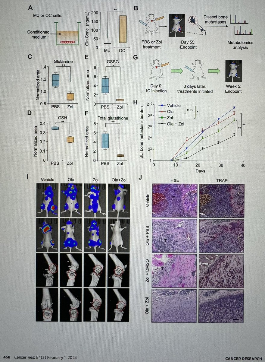 Wafik S. El-Deiry, MD, PhD, FACP tweet media