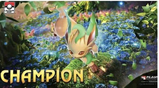 If somebody wanna sell this Leafeon playmat plz dm me 🙏
