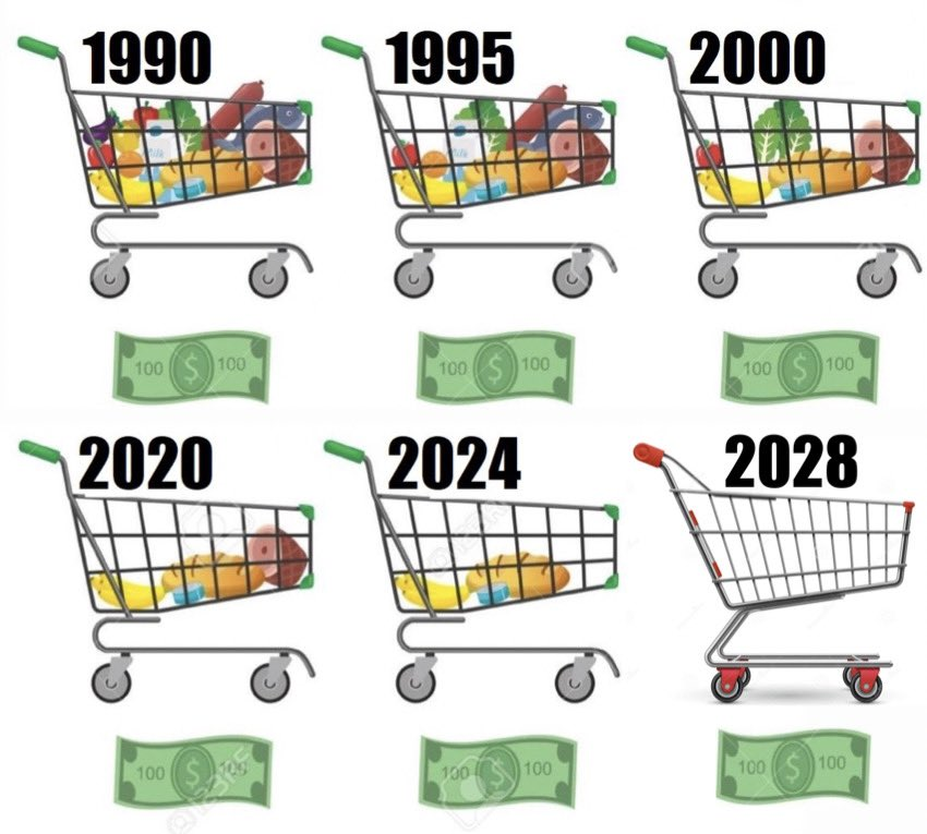 ☑️🇺🇸$100で買えるものの推移（1990～2028年） でも大丈夫、2028年にはカートだけは買えるから…😎