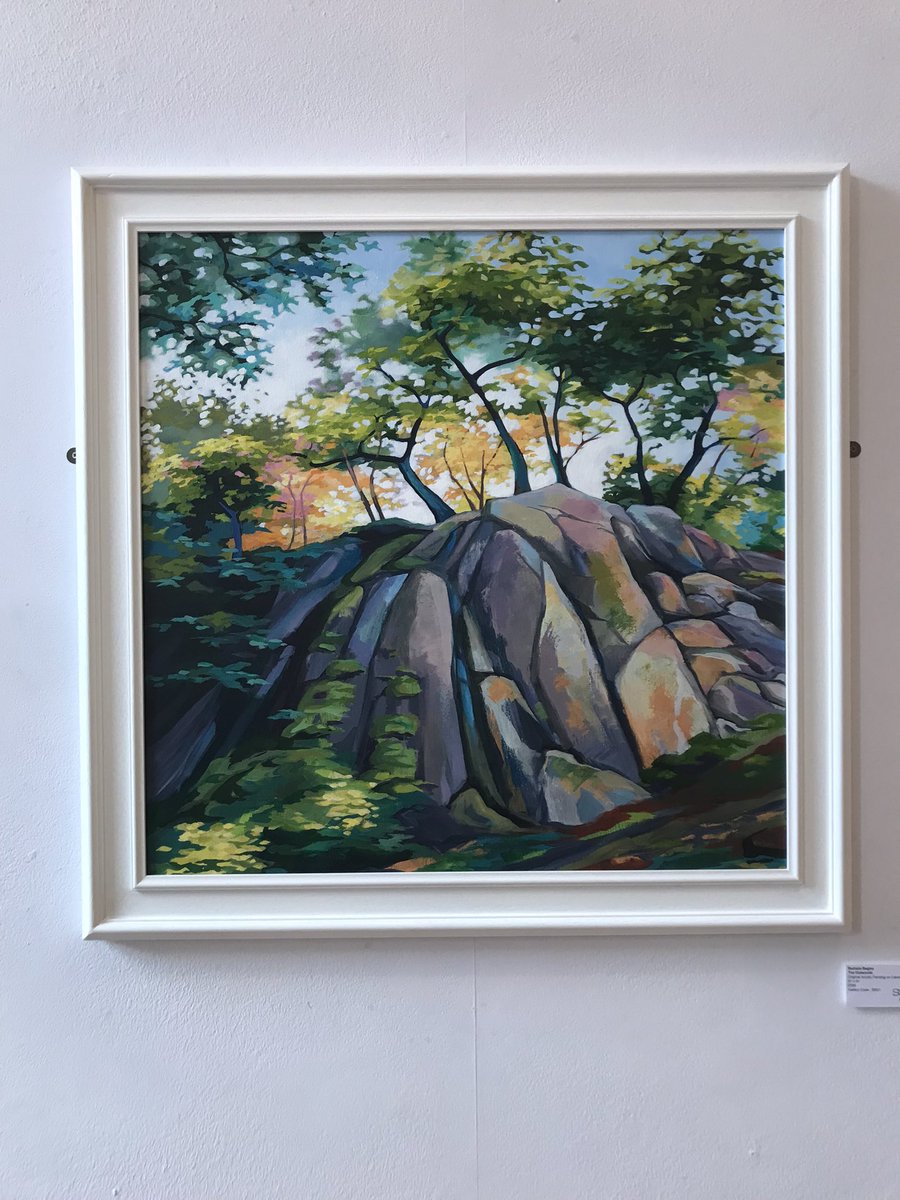 sock gallery tweet media