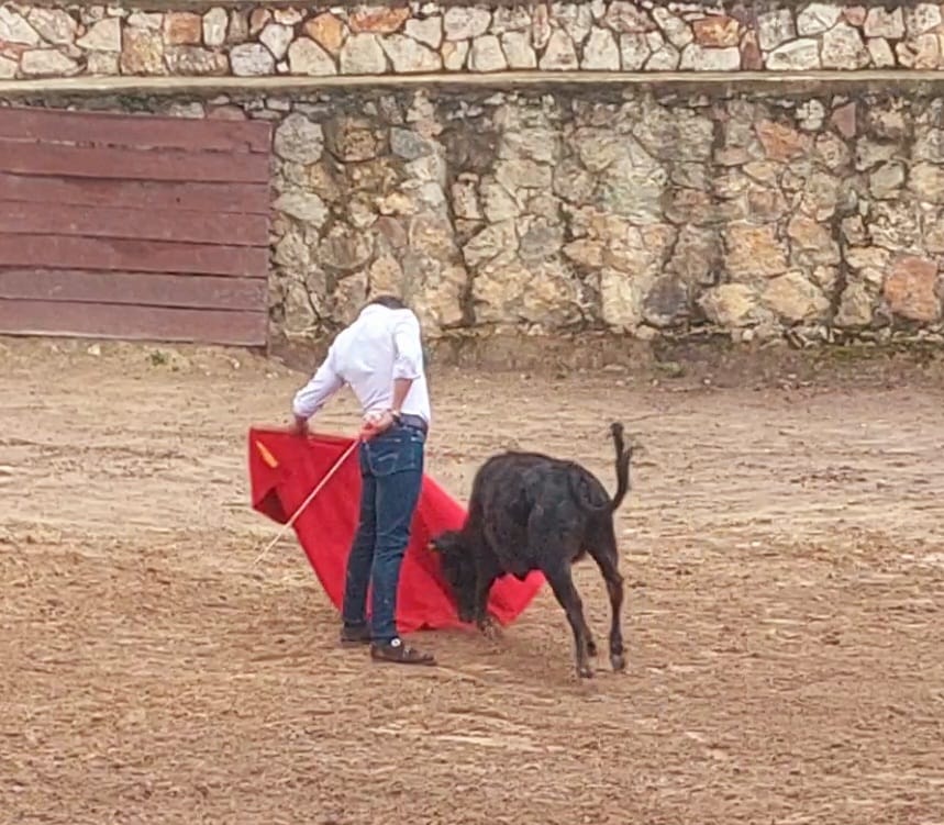 jeronimo_sand's tweet photo. Al otro lado del charco campo Colombiano 🇨🇴 🐂 seguimos la preparación está vez ganadería el Manzanal Cogua Colombia en buena compañía 🥰 https://t.co/zGpf48xhLh