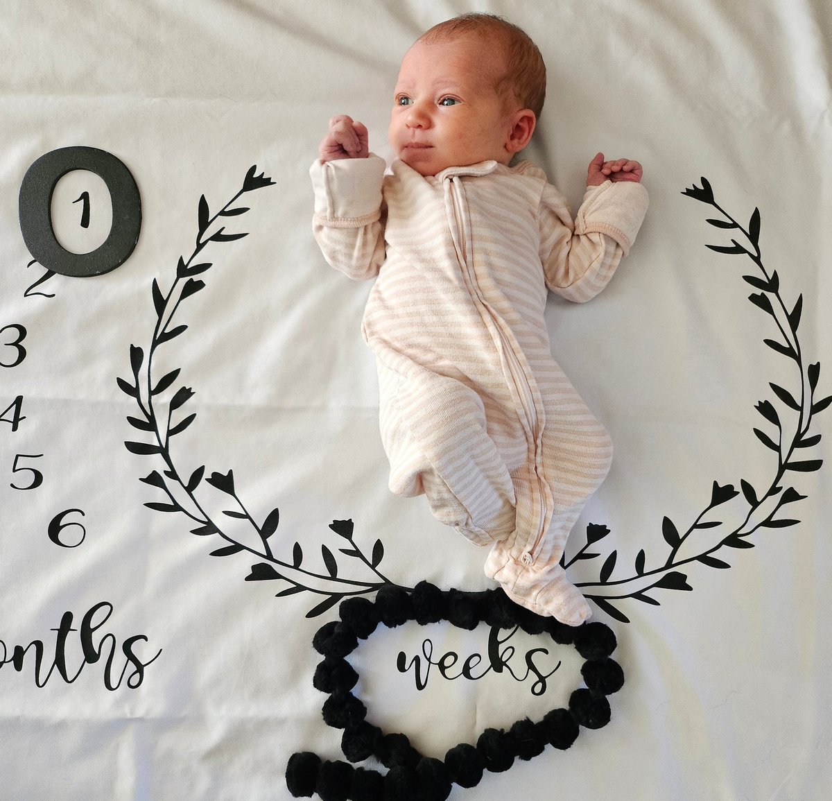 Jonathan Spike tweet media