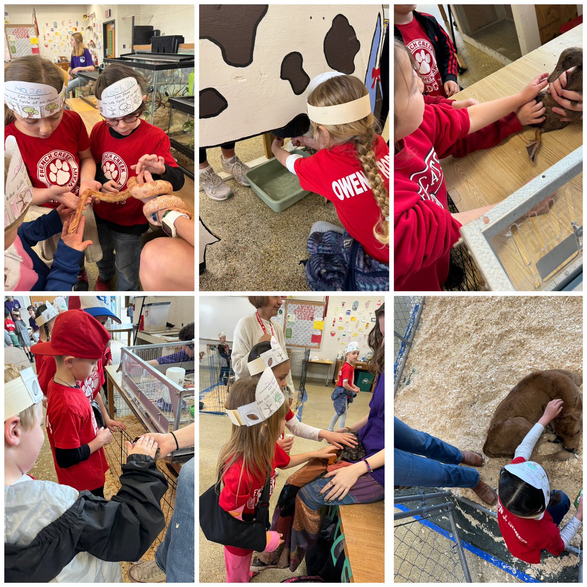 MrsZebertavage's tweet photo. More Farm Day Fun!! @OwenJRobertsFC @OJRHS https://t.co/N22mooS9Iv