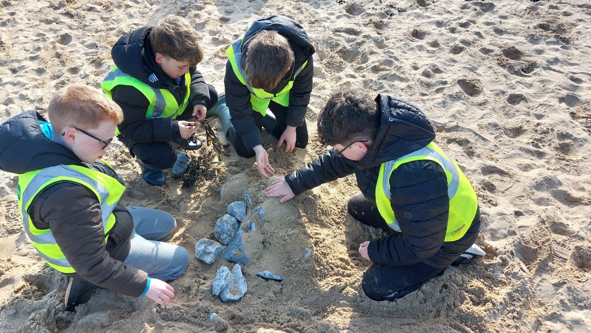 Wild Elements tweet media