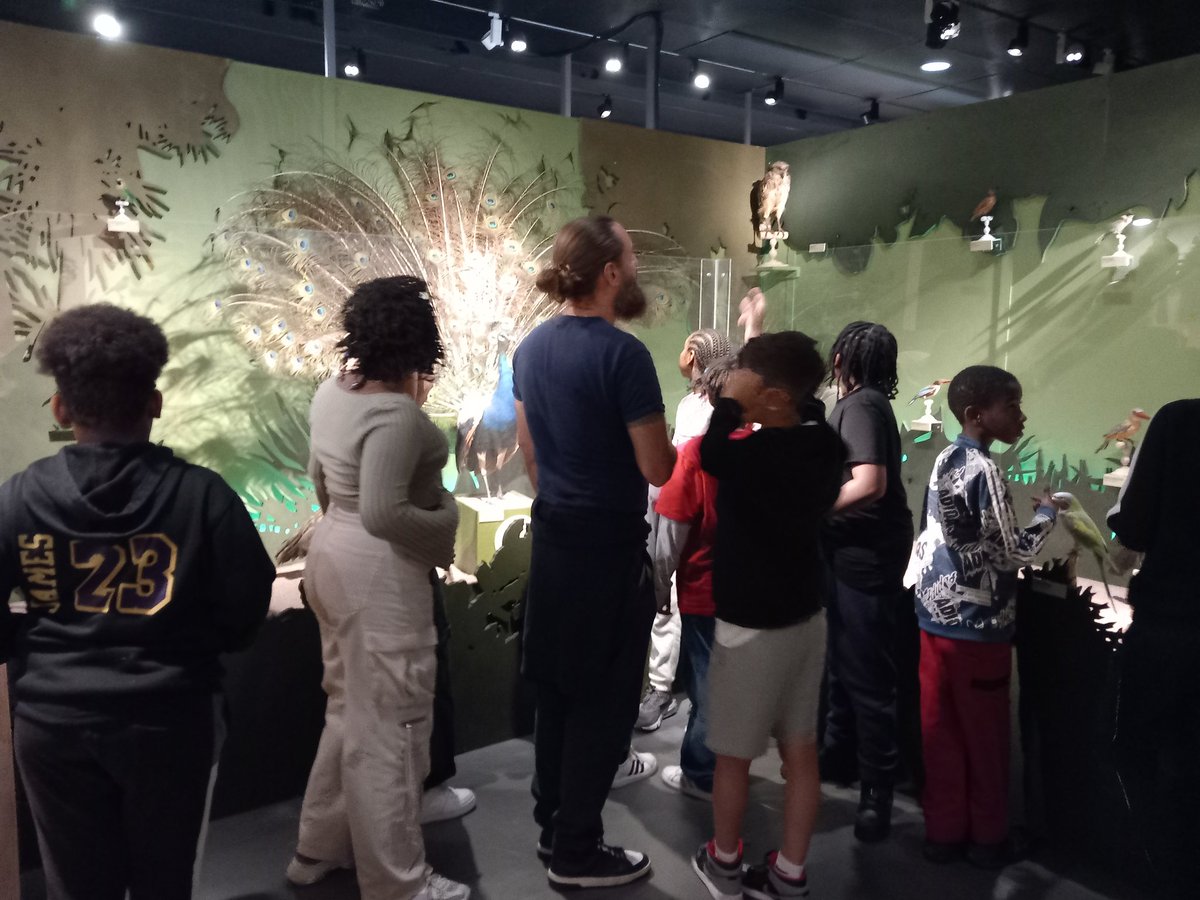 Year 6 thoroughly enjoyed their visit to the Natural History Museum in Bordeaux. #GrantonFamily #Leadingtheway #Excellenceforall @TuringScheme_UK
#Turingscheme