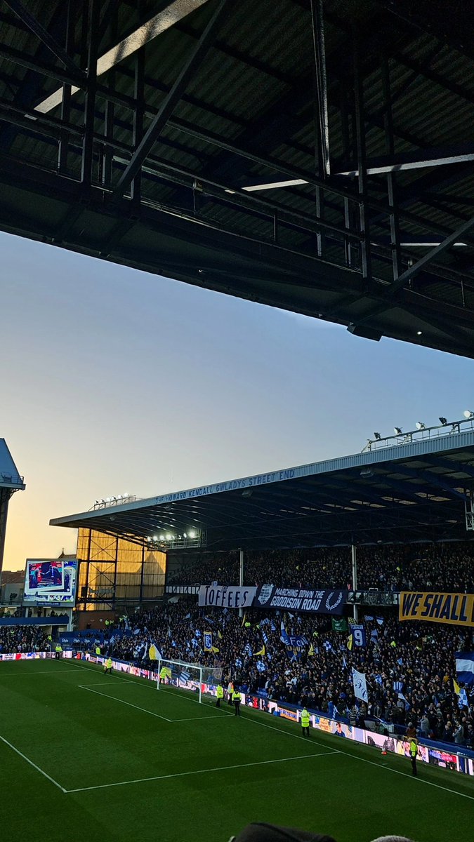 Up the fucking toffees💙