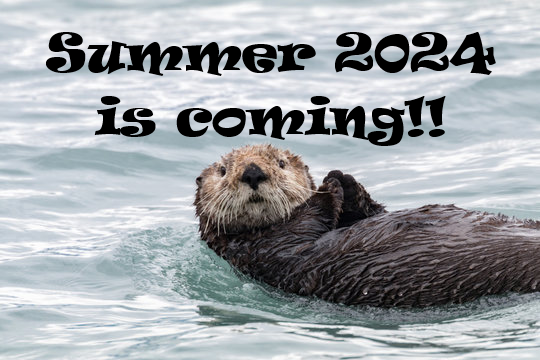 RecreationRusd's tweet photo. Swim Pre-Registration starts Saturday April 27 at 8am **Online Only**

All Class Registration starts Monday April 29 at 1pm.  
https://t.co/e3jrNhEQFy 
#rusdrecreation https://t.co/3zSYIt7RMe
