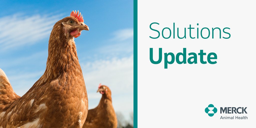 We are excited to provide an update on our latest poultry innovation for laying and breeding chickens. Learn more: bit.ly/PoultrySolutio…