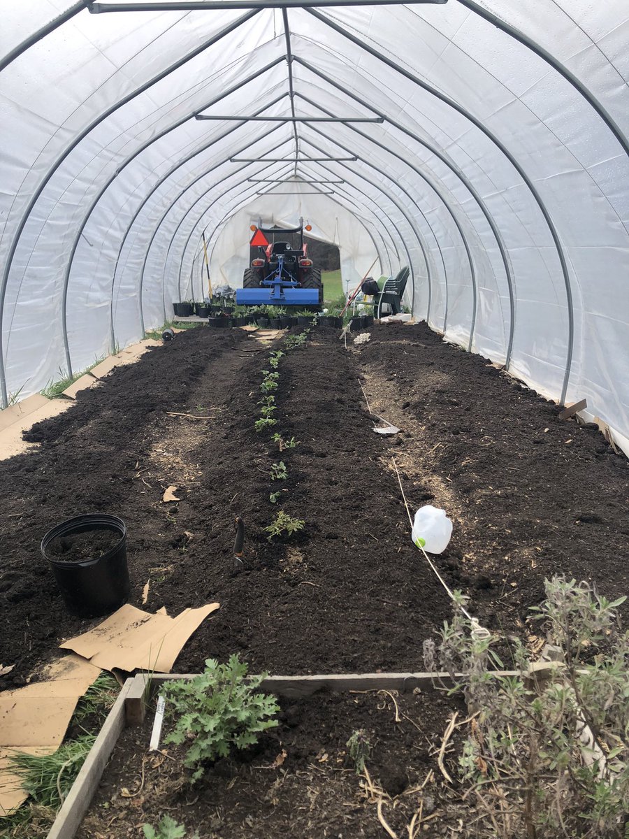 LibertyMe15's tweet image. #Spring2024 making progress and food!
#Foodsovereign #FoodFreedom