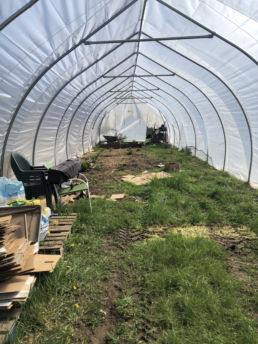 LibertyMe15's tweet image. #Spring2024 making progress and food!
#Foodsovereign #FoodFreedom