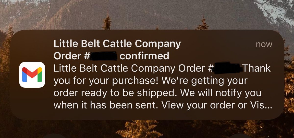 Thanks to the Last Best Place PAC and the ads they play continuously, I just put in my order for some merch from Little Belt Cattle Co! Looking forward to rocking it throughout the election cycle! #supportlocal #RetireTester #BeatBiden #mtpol