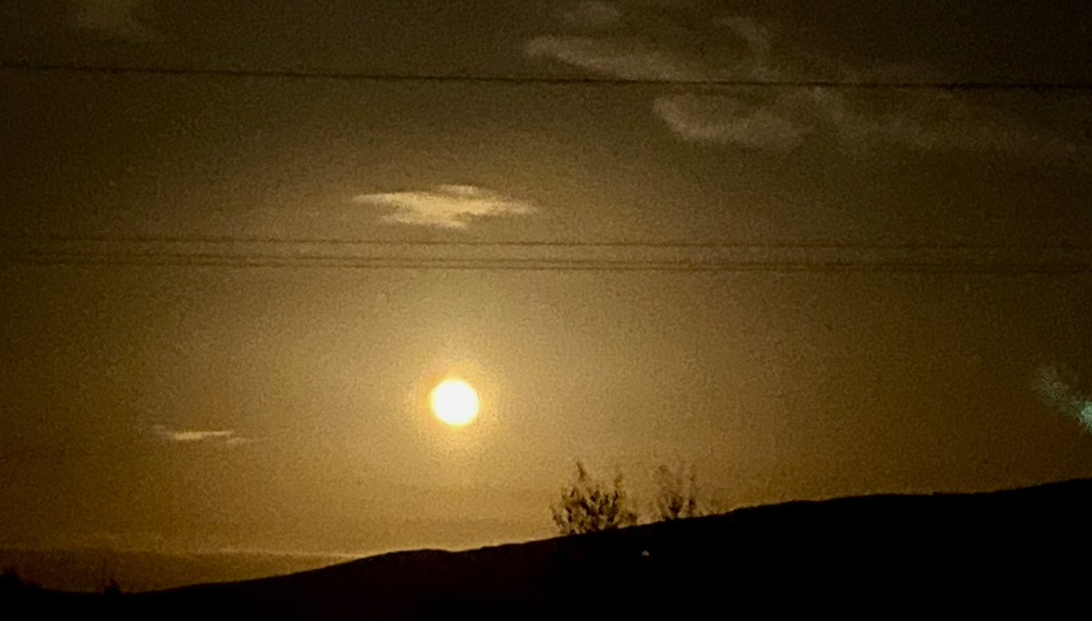 Current Time: 24 Apr 2024, 22:42:44 Moon Phase Tonight: Waning #Moon #MOONLIGHT Lost in the beauty of the moon's glow 🌕 #Tipperary #Ireland