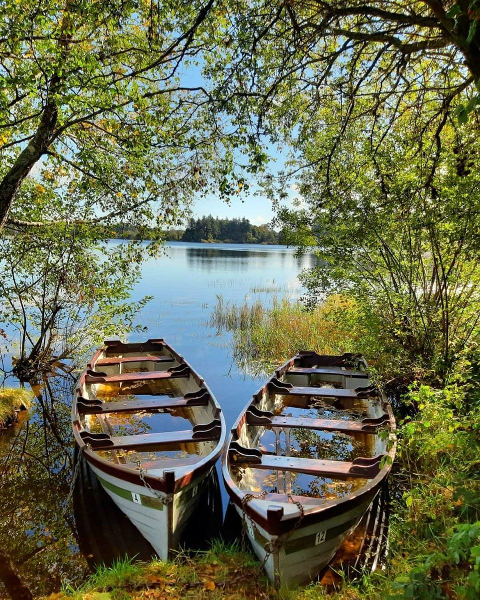 Vartry Reservoir Trails Conairí Thaiscumar Fheartraí (only 36km from/níl siad ach 36km ó @ucddublin) via @visitwicklow #Trails #WicklowOutdoors facebook.com/visitwicklow/p…