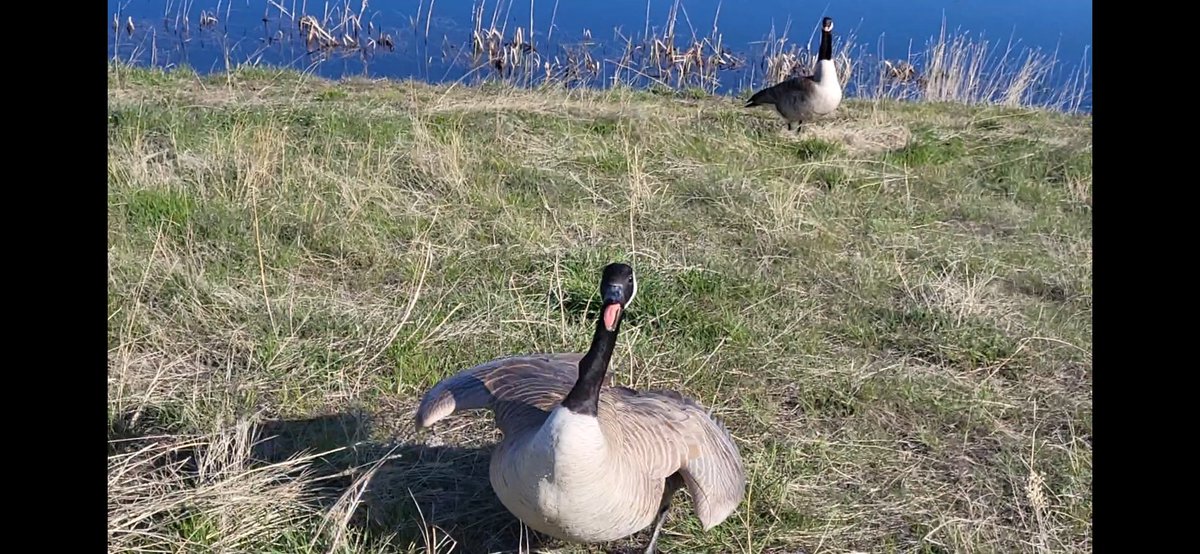 Steve Link tweet media