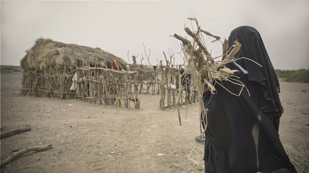 📢Published Global Report on Food Crises #GRFC2024 In Yemen 19.0M people (60% of total population) projected to face high levels of acute food insecurity by June Key drivers of the crisis are ❎Conflict/insecurity ❎Economic shocks ❎Weather extremes 👉bit.ly/4b6xvsr