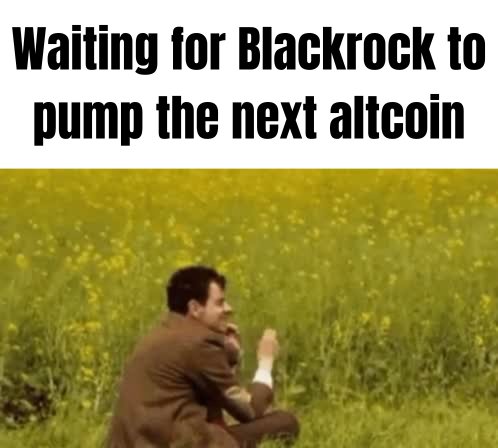 Which altcoin will they pump next?