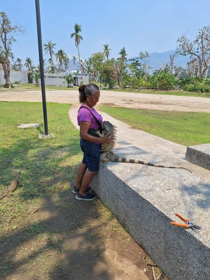 Solo en el parque Ignacio Manuel Altamirano, (parque Papagayo) de #Acapulco