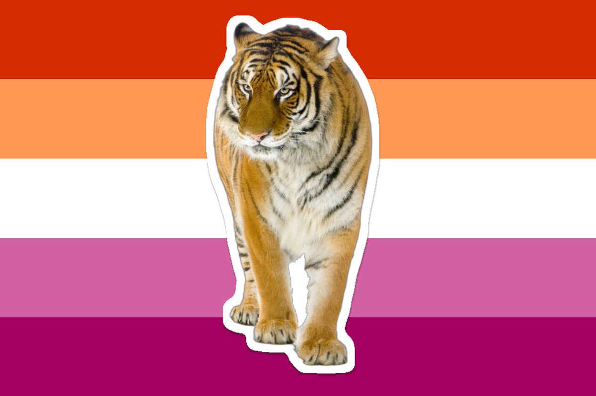 The lesbian flag but I put a tiger on it because tigers are fucking awesome (im bored ok)