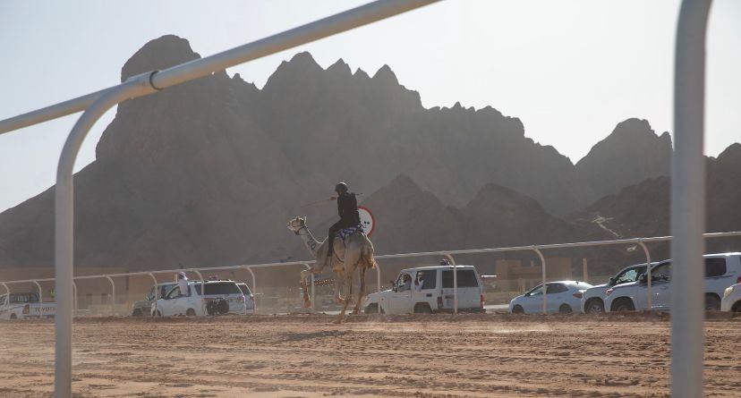 الاتحاد السعودي للهجن يسجل رقماً قياسياً بإقامة 1722 شوط في 11 مهرجان ومسابقة #صحيفة_النهار_السعودية annahar-news.com/news/single/89…