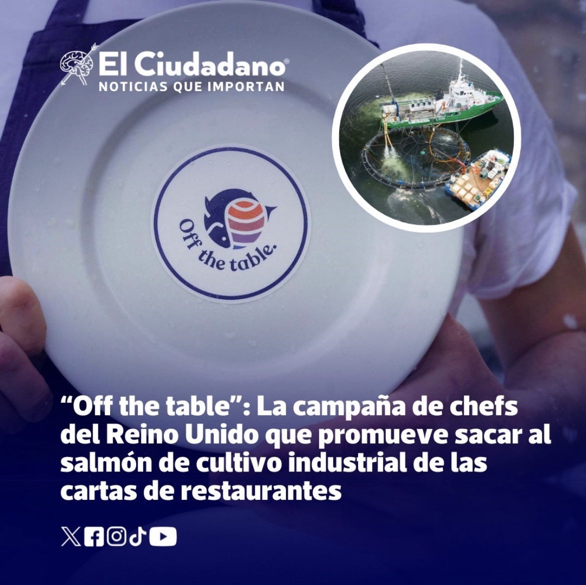 Un grupo de chefs top de #reinounido esta sacando el salmón de cultivo de sus cartas por el daño que causan al medioambiente y especies nativas .

¿Qué opinas? 

#nuevaleyacuicola 
#areasprotegidassinsalmoneras 

@offthetable_uk @ReddVillaksen @TheGAAIA @PatagoniaAzulCL