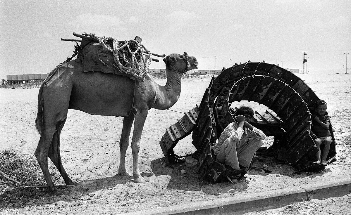 A local Bedouin with his camel at Yamit in the Sinai Penisula. 1981
Credit - Ilan Meiri / Dan Hadani collection / National Library of Israel / The Pritzker Family National Photography Collection, CC BY 4.0 <creativecommons.org/licenses/by/4.0>, via Wikimedia Commons