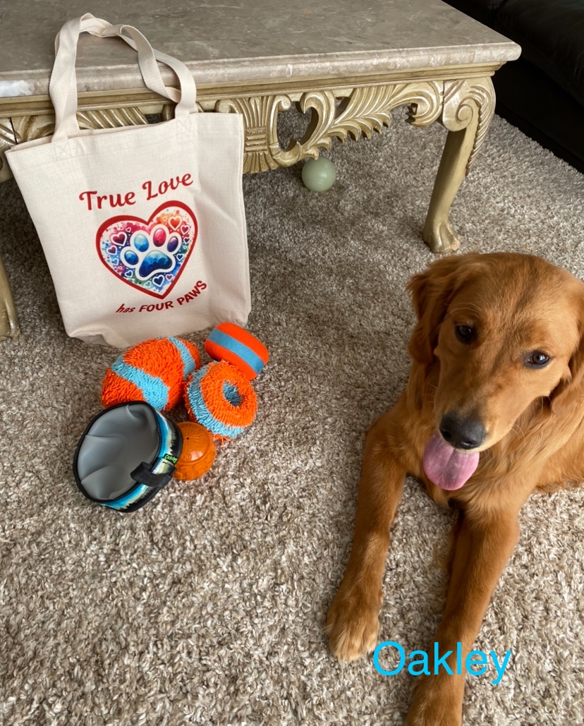 Guess what I got in the mail today …True Love Has Four Paws tote bag! Both Mom & I love it! These are just a few fings I’m putting in it when I go to the lake! There’s room for my hoodie & raincoat too! Super big THANK YOU to @KaiaIsland & @CharliePawsUp for this beautiful gift!
