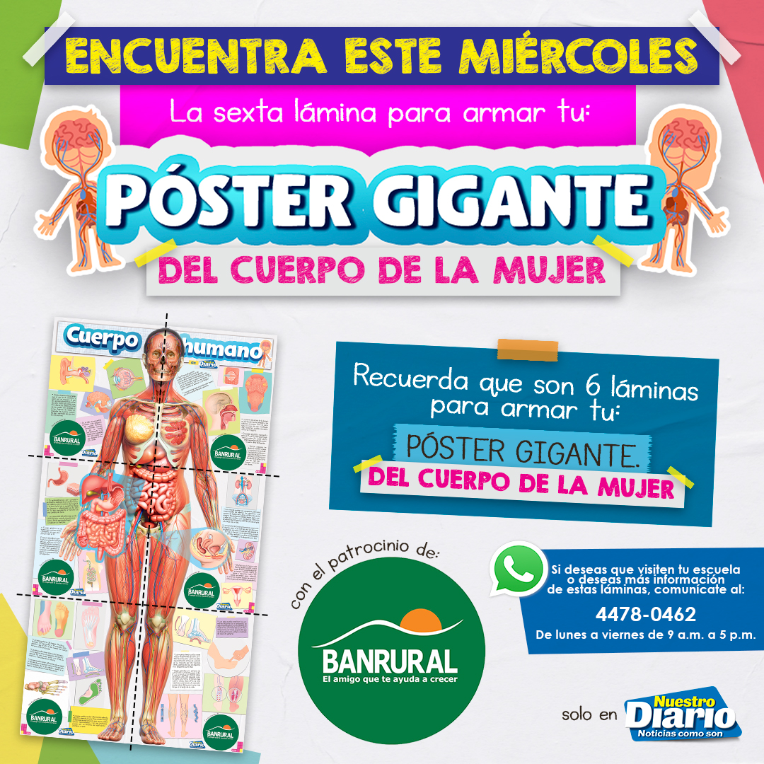 #PosterGigante
Encuentra este viernes la sexta lámina para armar tu 'Póster gigante del Cuerpo de la mujer' 👩🏻 y conoce más sobre la Anatomía del Pie 🦶🏻

Recuerda que son 6 láminas coleccionables.

Gracias al patrocinio de @banruralgt

Nuestro Diario
Noticias como son 🗞️