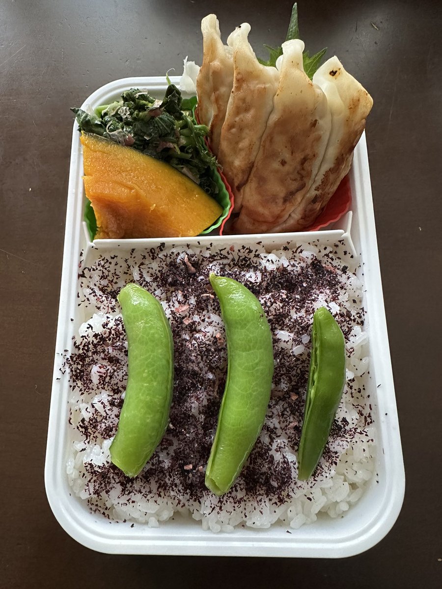 Thu.25th.April.2024

#observation #lunchbox #japaneselunchbox #bento #お弁当 #サラメシ #お弁当記録 #japanesefood #toobusy #wegethigh #pray #iwasimpressedby