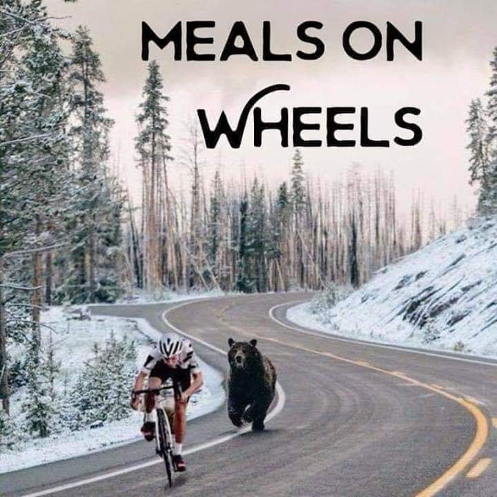 When the bear's got a craving for fast food... 🚴‍♂️🐻

If you are looking to buy a home or sell your home, reach out to us.

We would love to help you on your journey! 🏡

Mark & Shey Stitt
The STITT Team | lpt realty
303-870-8826

#MealsOnWheels #BearEncounter #PedalFaster