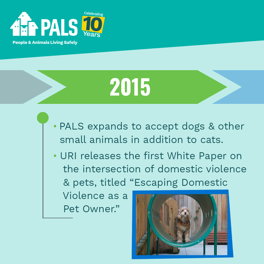 Since 2015, our PALS program expanded to include dogs & small animals. We also released a groundbreaking White Paper on domestic violence & pets. Join us in marking this milestone & learn more about our journey: bit.ly/4daK1ZQ #PALS10Anniversary #StayTogetherHealTogether